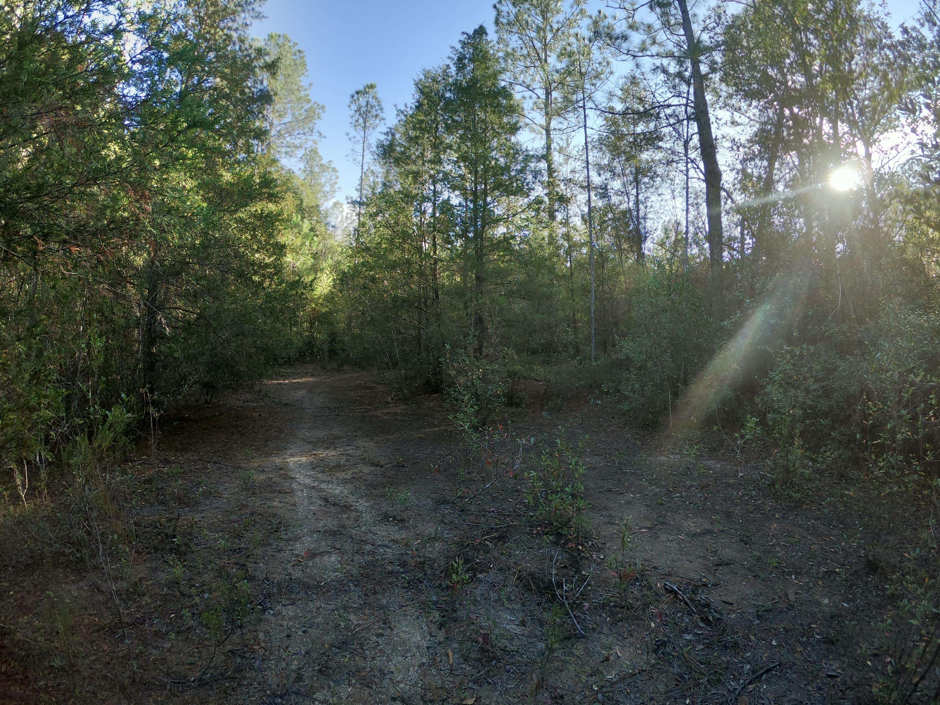 Holt, FL 32564,1.48 Acre Leisure Avenue