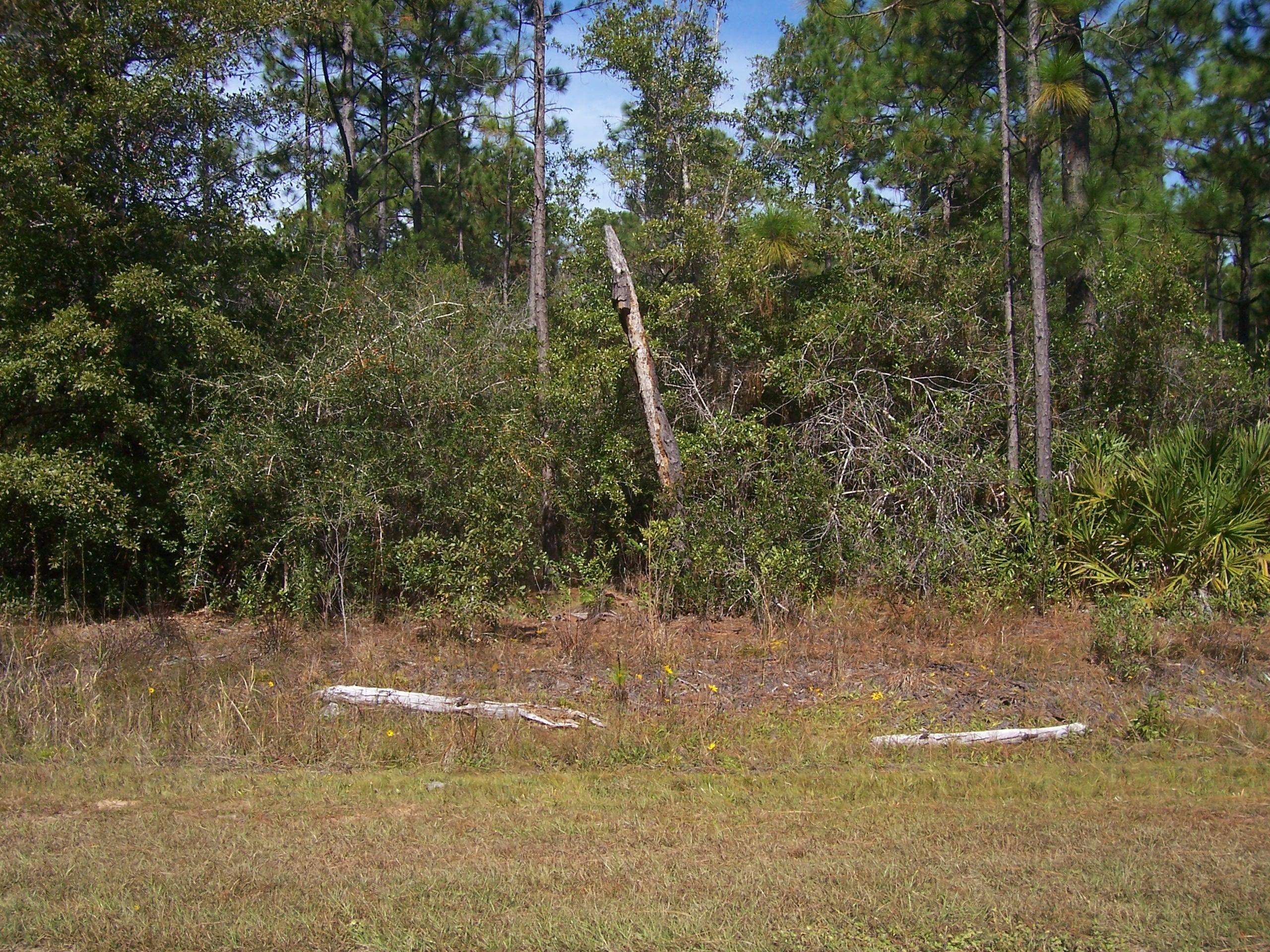 Milton, FL 32583,Lot 3 N N. 15th Avenue