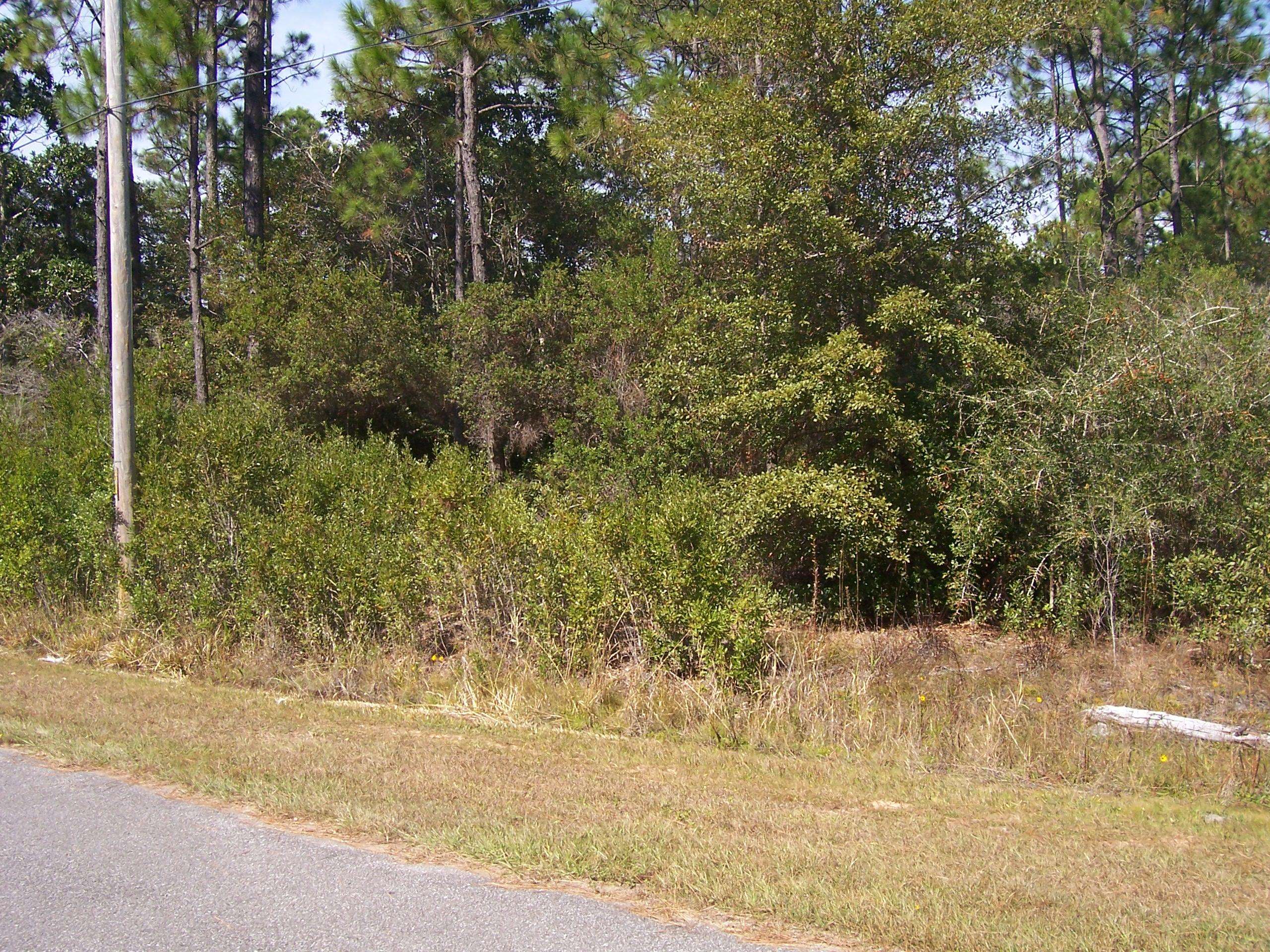 Milton, FL 32583,Lot 3 N N. 15th Avenue