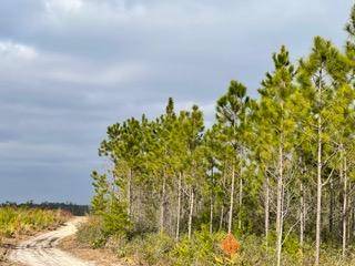 Other, FL,1325+/- AC Hwy 20