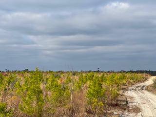 Other, FL,1325+/- AC Hwy 20