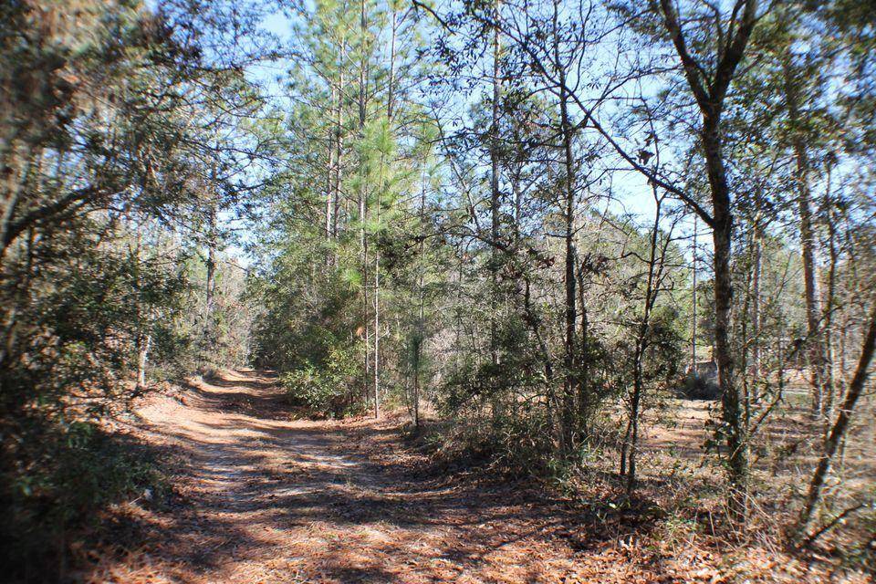 Baker, FL 32531,B-19.23 ac Old River Road