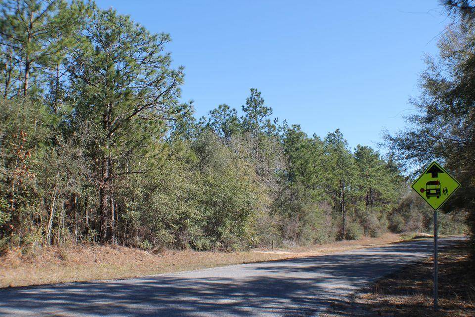 Baker, FL 32531,B-19.23 ac Old River Road