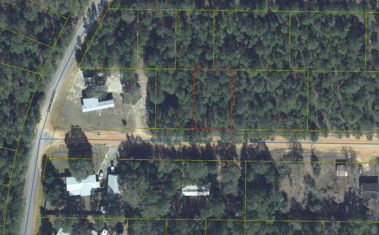 Defuniak Springs, FL 32433,Lot 12 Hyacinth Avenue