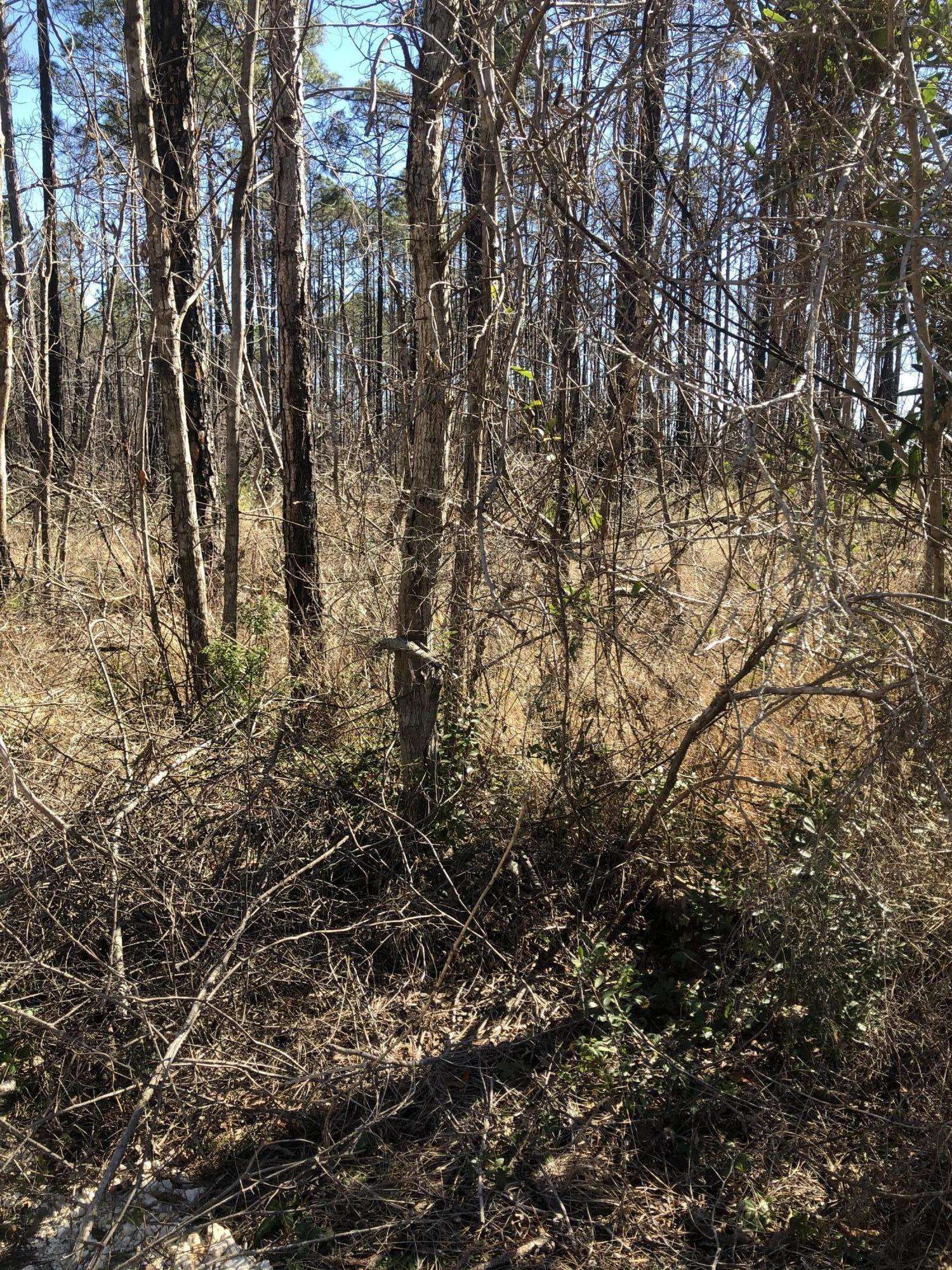 Milton, FL 32583,Lot 19 Simla Drive