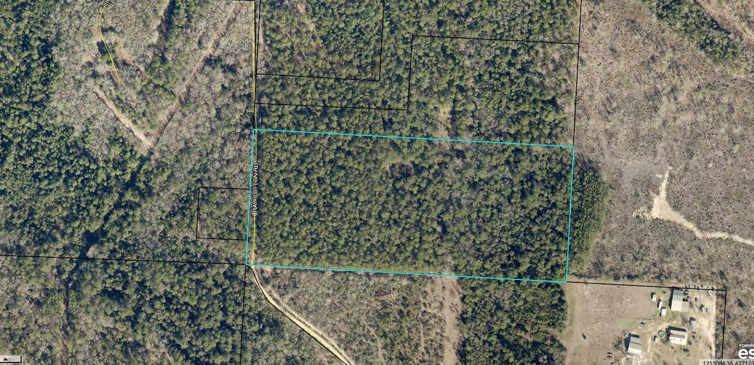 Baker, FL 32531,17 AC Ray Cotton Road