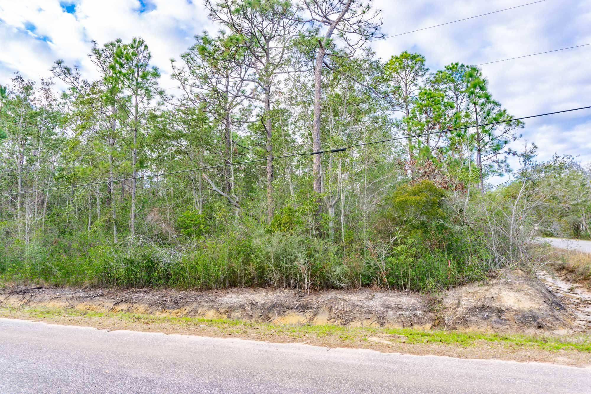 Milton, FL 32583,00000 Bonfire Drive