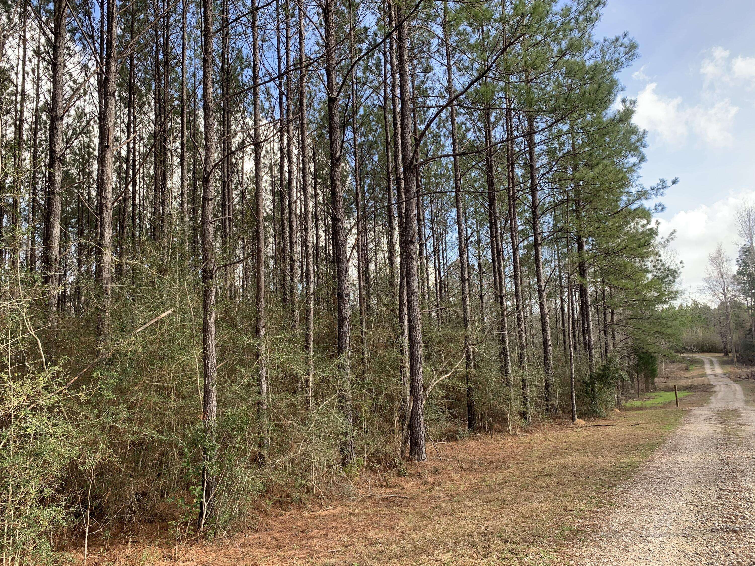 Milton, FL 32570,4.86 AC J D Peaden Road