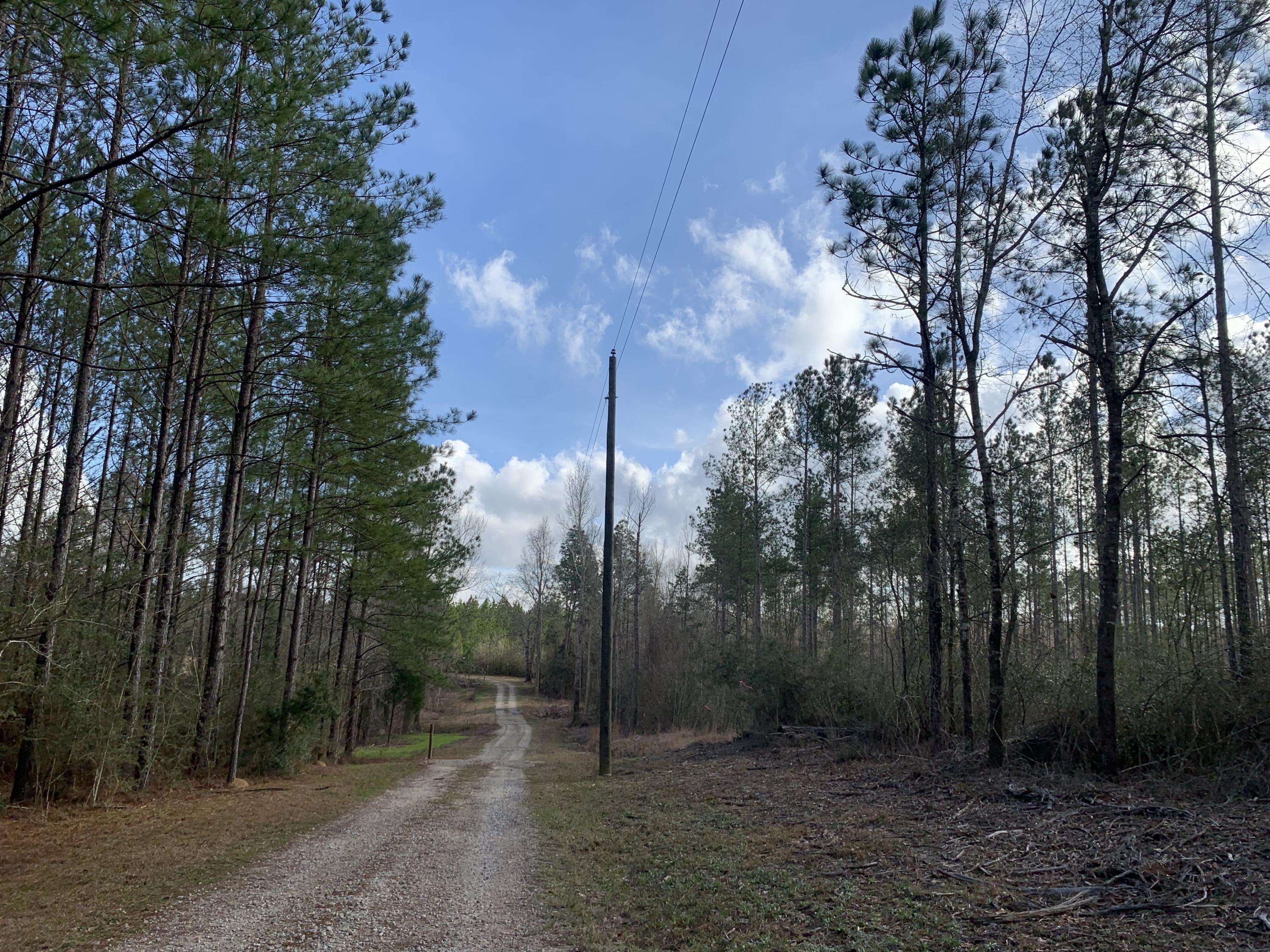 Milton, FL 32570,4.86 AC J D Peaden Road