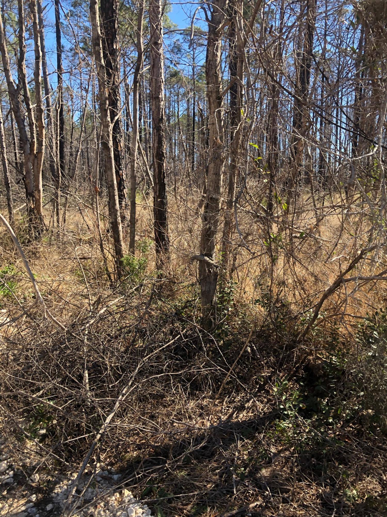 Milton, FL 32583,Lot 23 Simila Drive