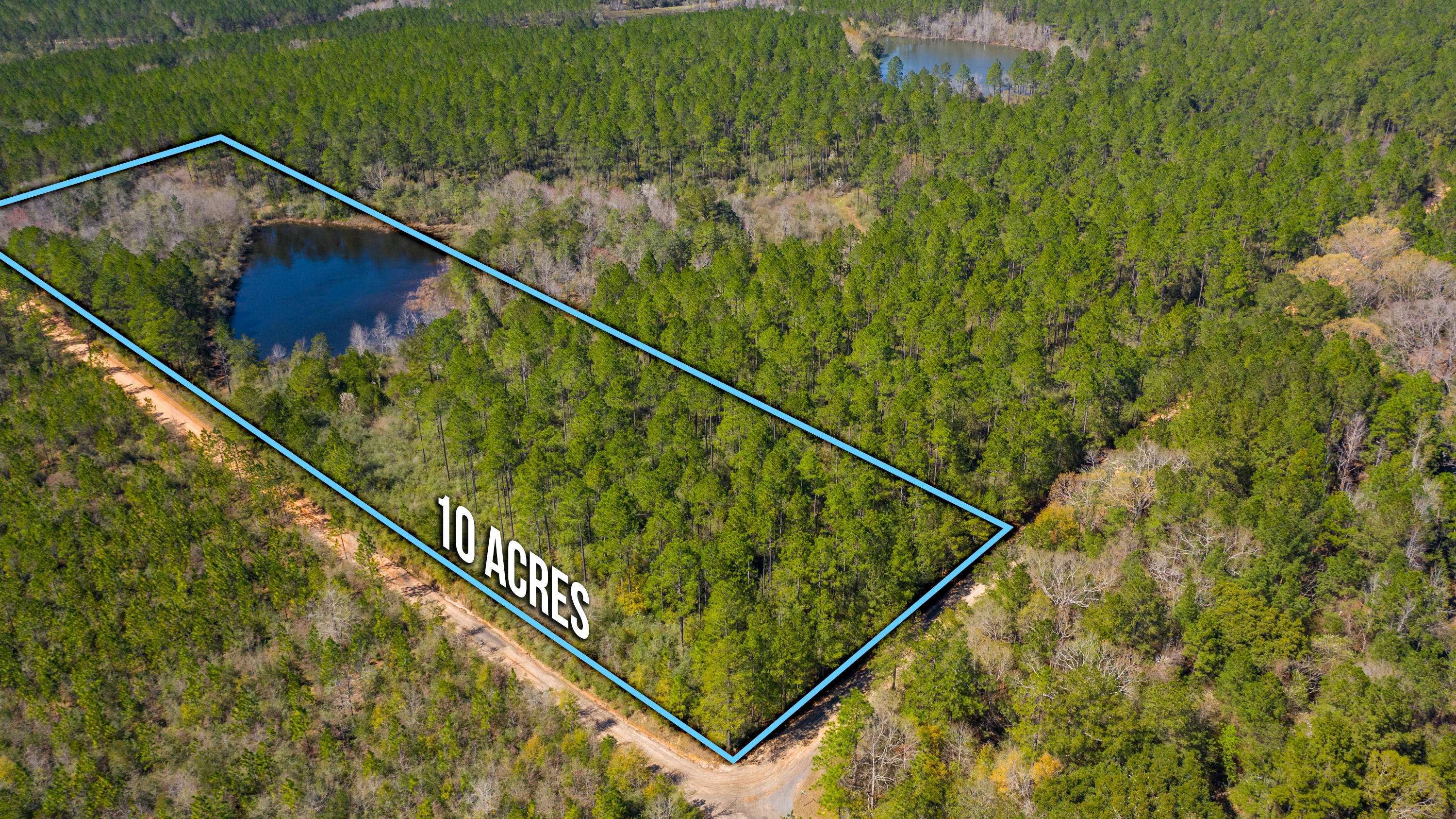 Laurel Hill, FL 32567,20 ACRES BUCK TYNER