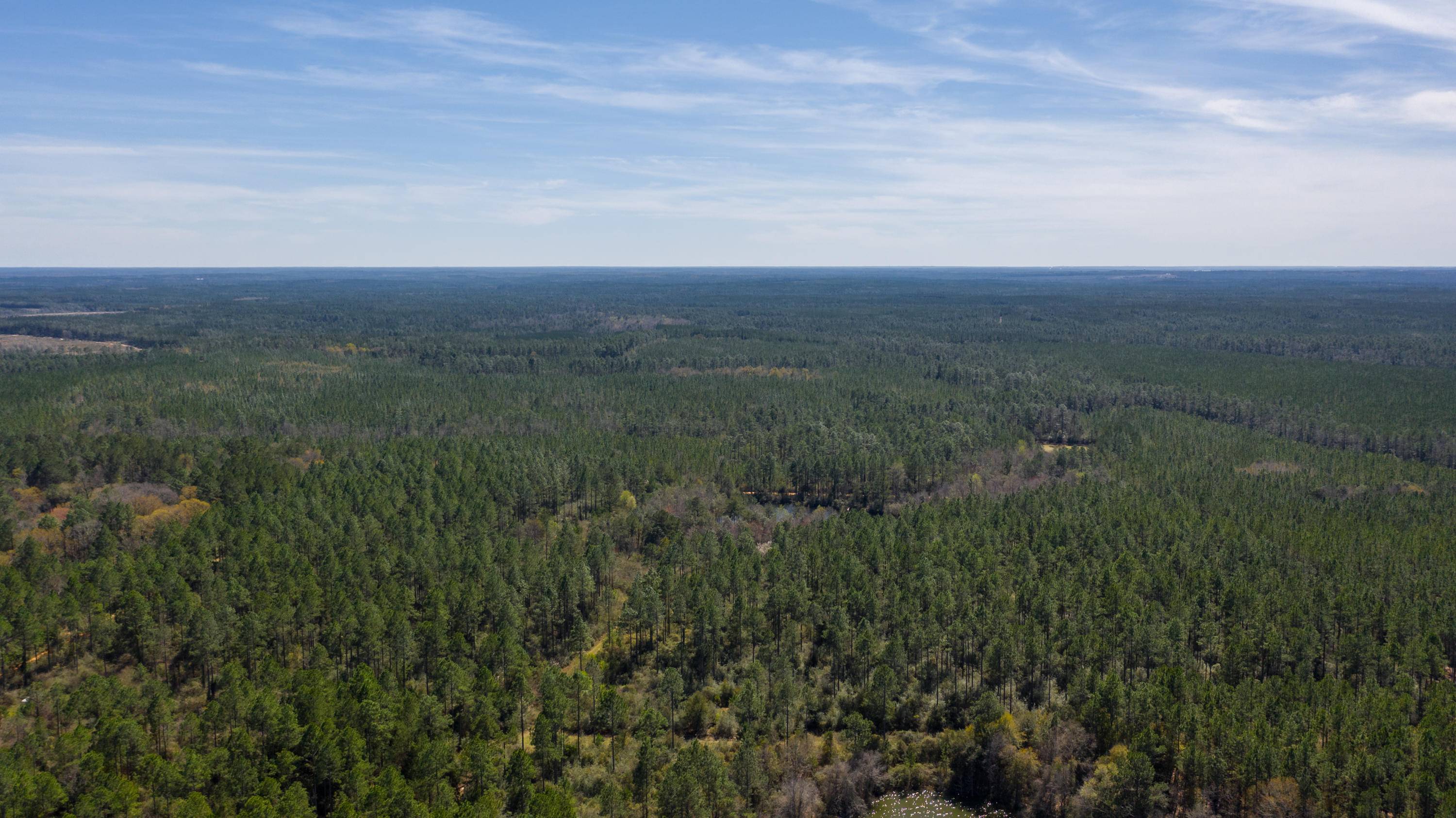 Laurel Hill, FL 32567,20 ACRES BUCK TYNER