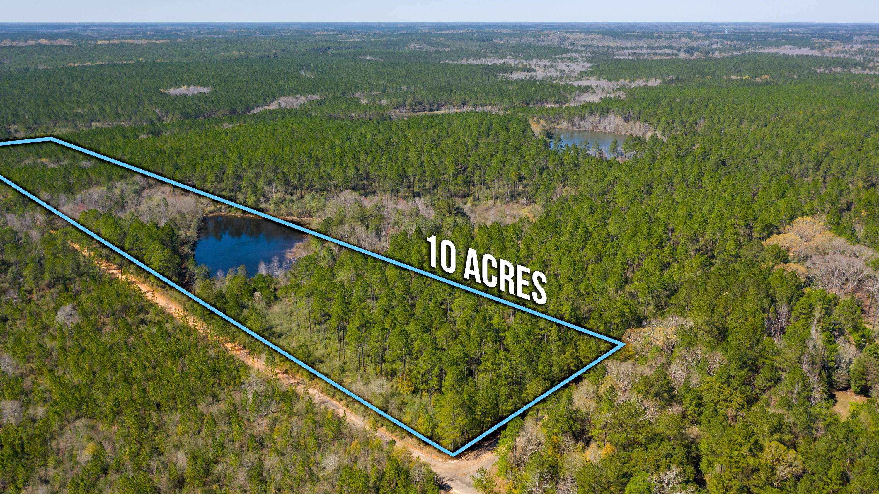 Laurel Hill, FL 32567,20 ACRES BUCK TYNER