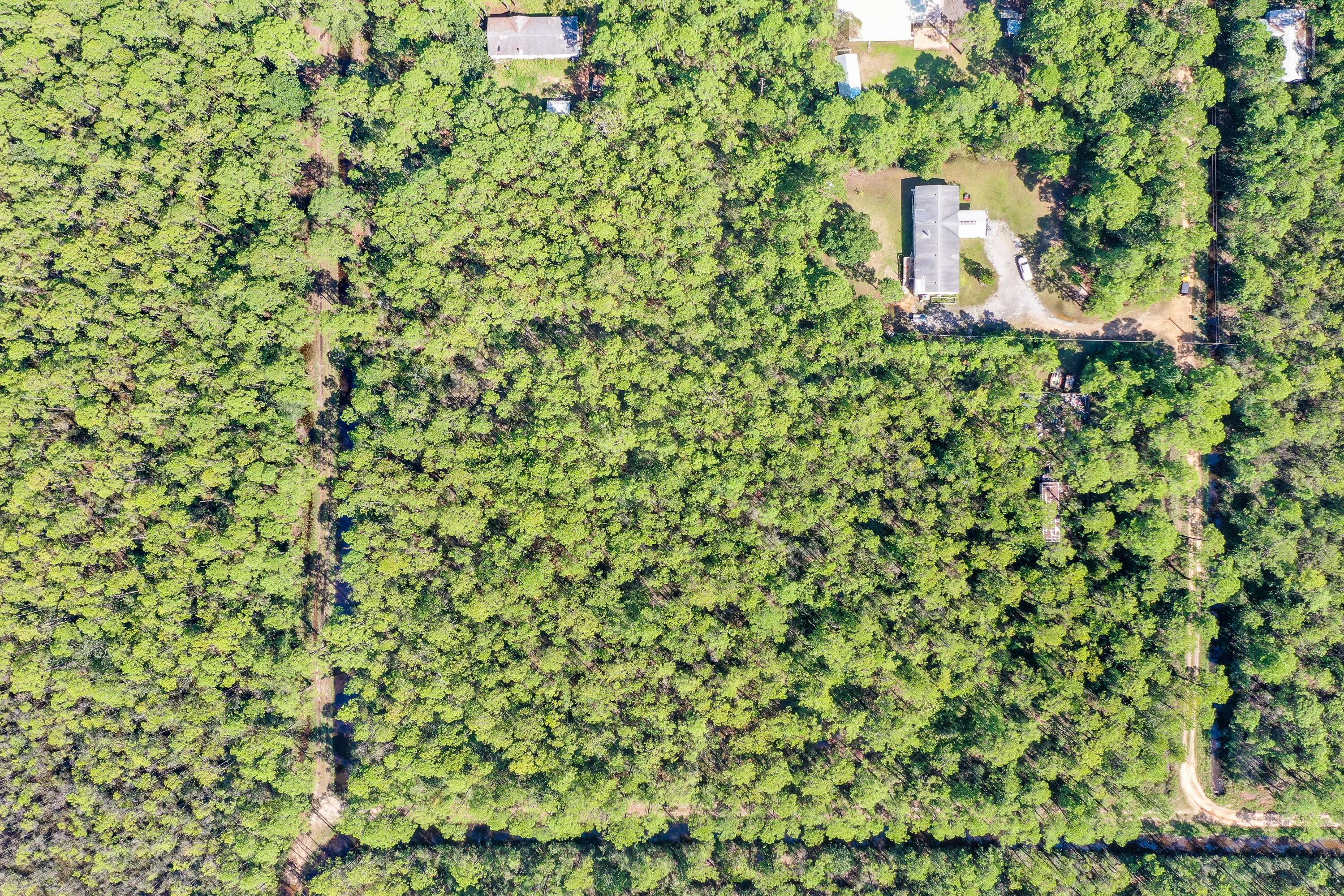 Santa Rosa Beach, FL 32459,Lot 19 N 16th Street