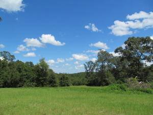 Westville, FL 32464,20AC Braxton Road