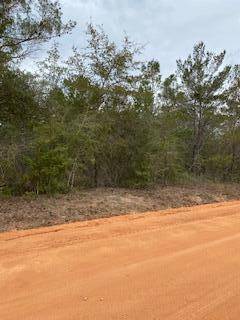 Defuniak Springs, FL 32433,TBD E Laurel Ln