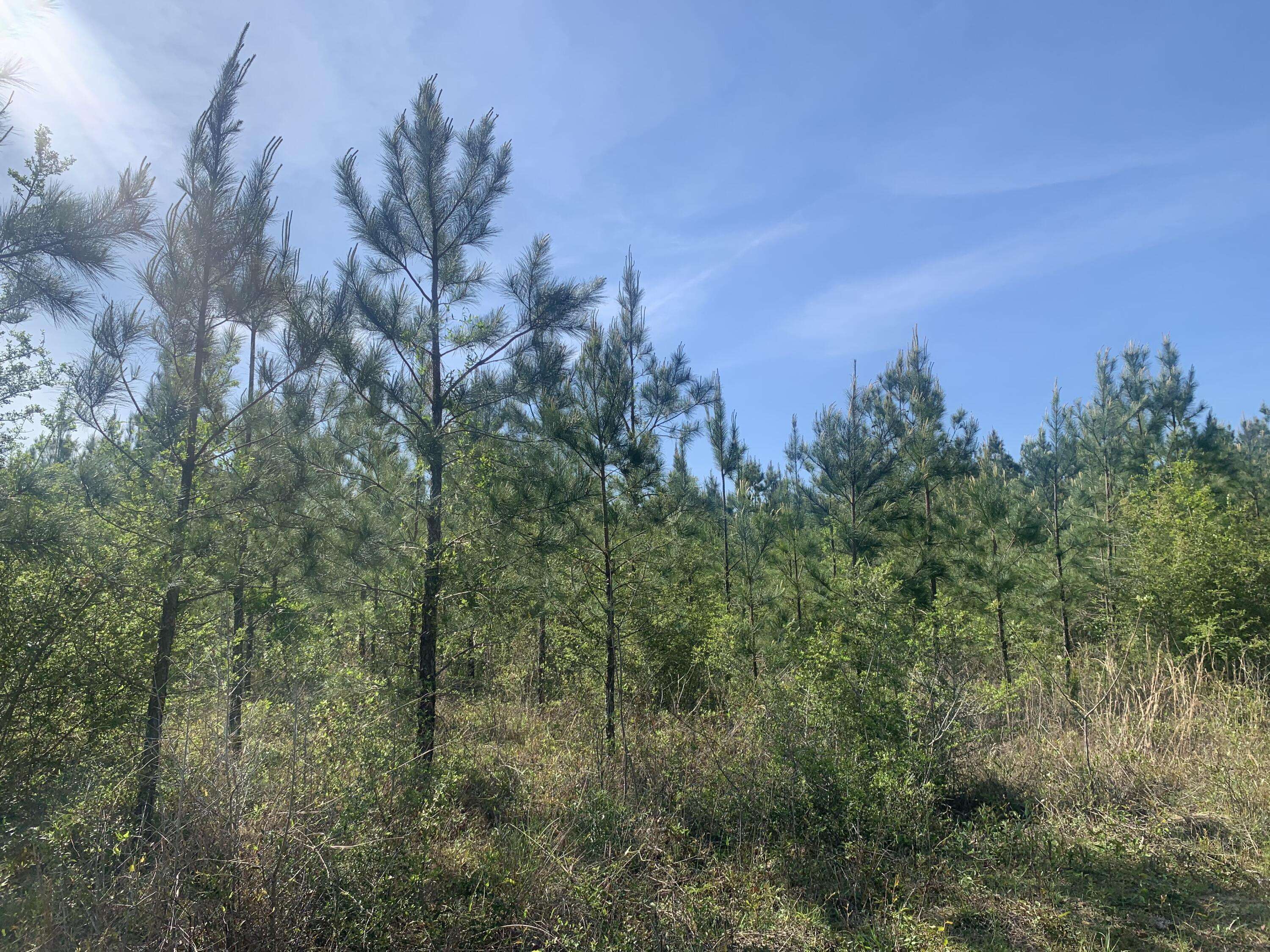 Milton, FL 32570,10 AC Munson Highway  #Parcel G