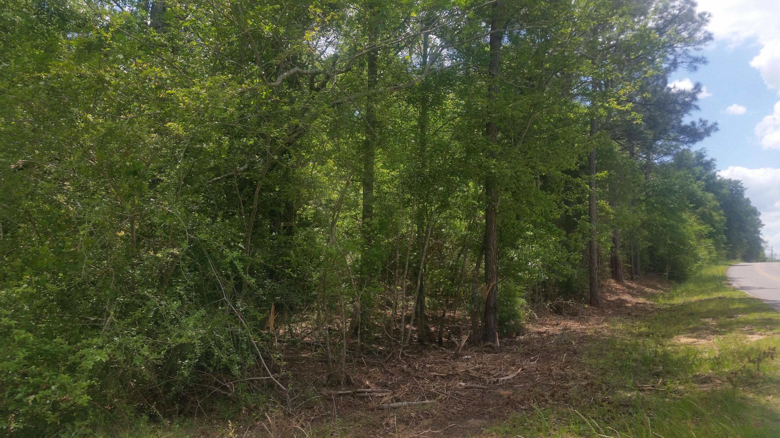 Defuniak Springs, FL 32433,59 ACRES Punch Bowl Road