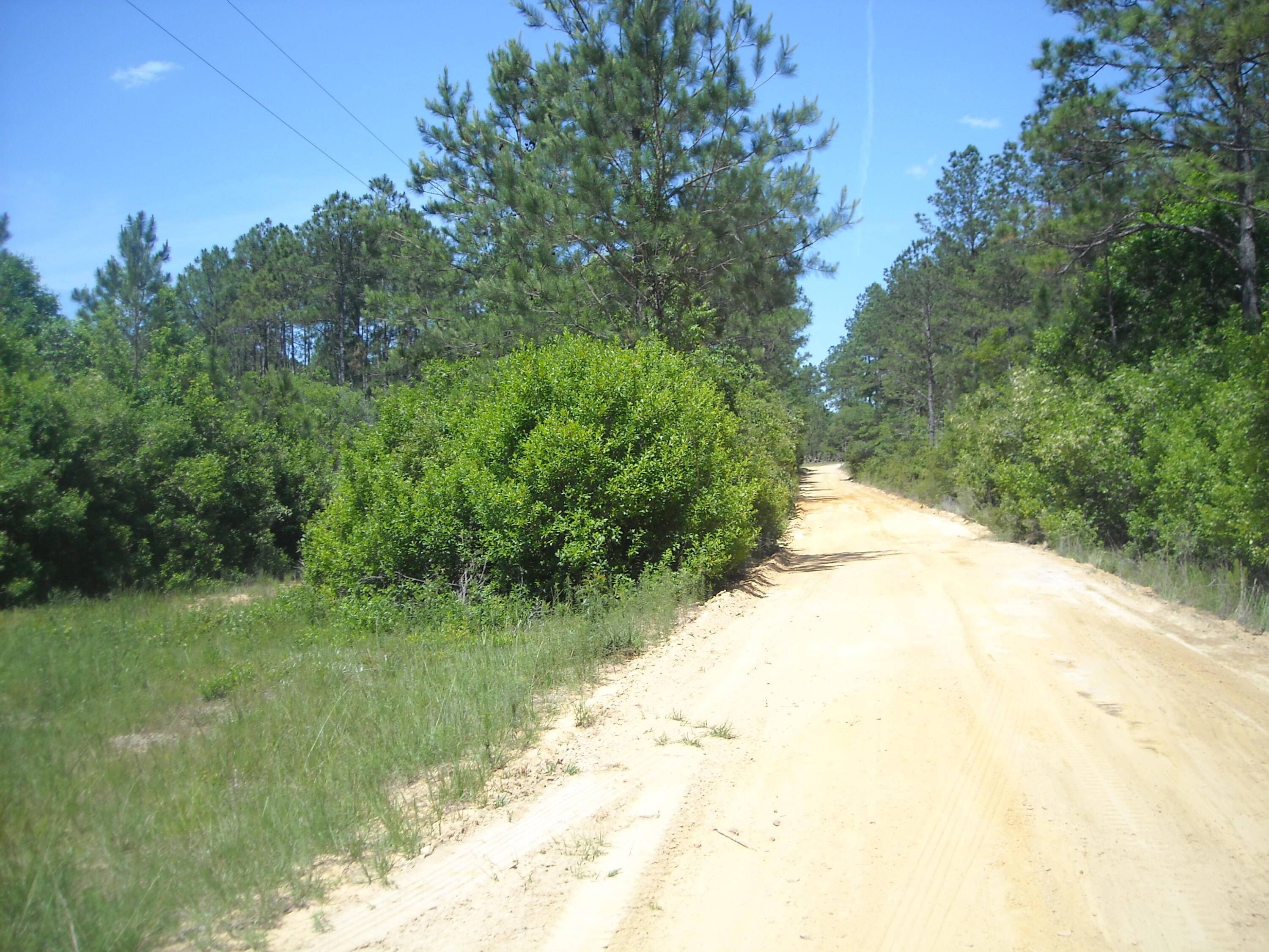 Laurel Hill, FL 32567,Lot D1A Planters Drive