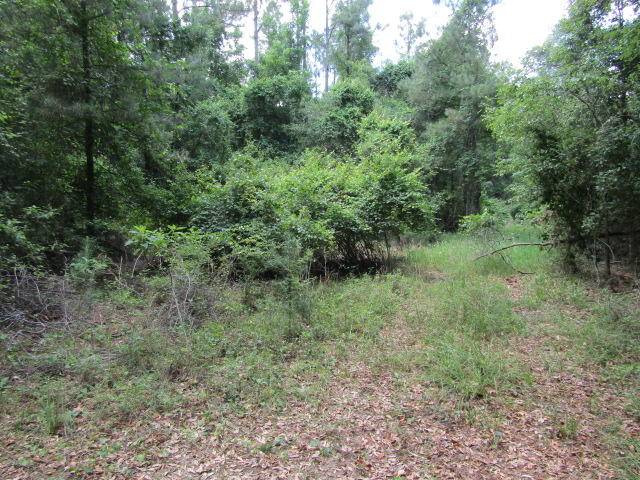 Baker, FL 32531,10 Ac +/- Bullard Church Road