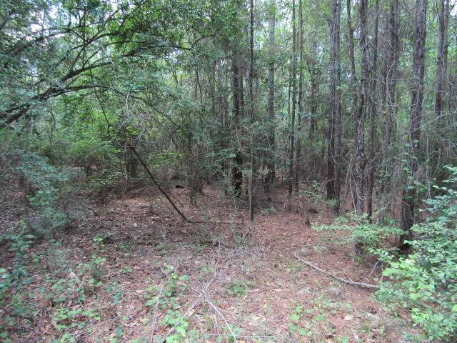 Baker, FL 32531,10 Ac +/- Bullard Church Road