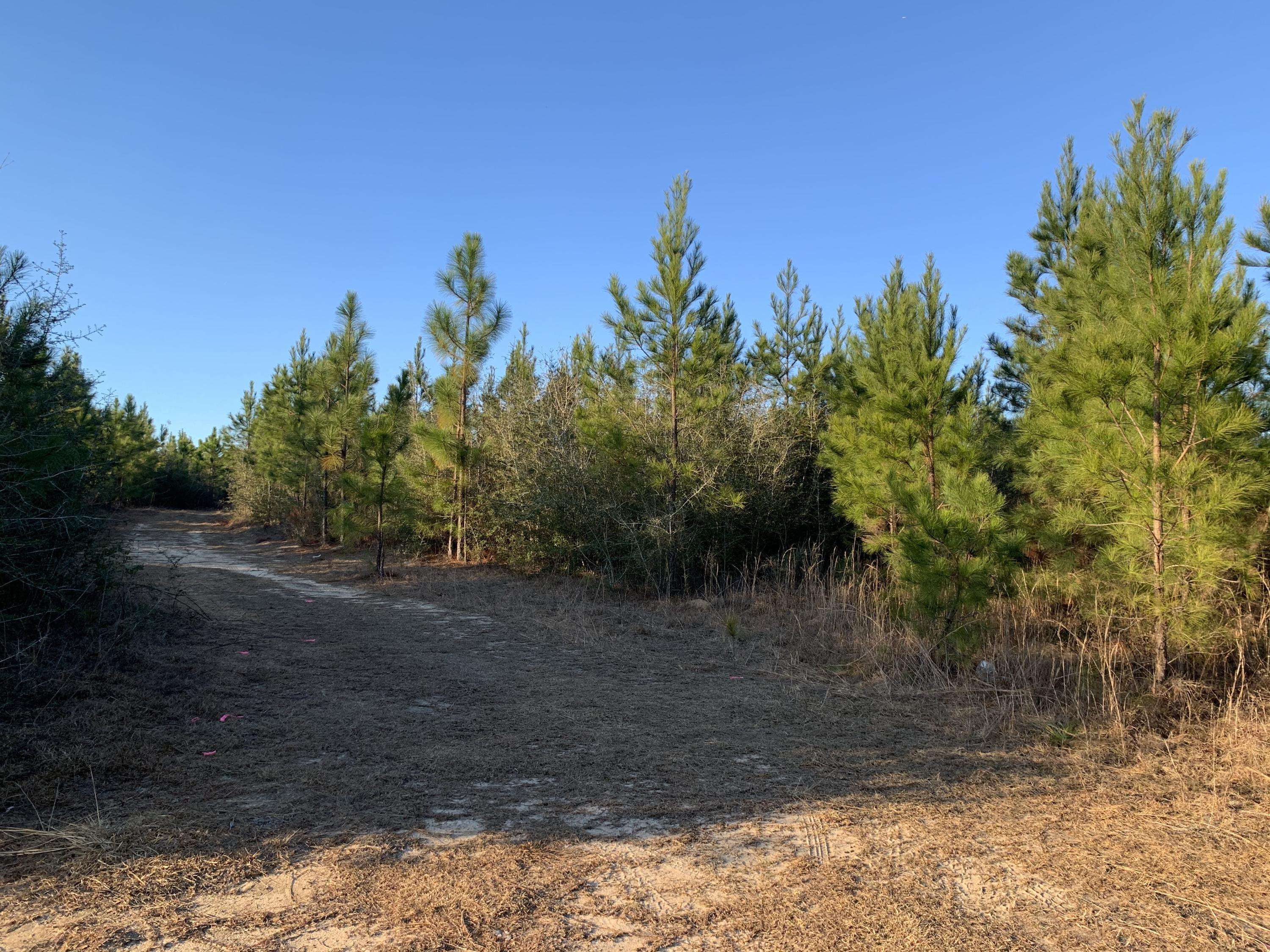 Milton, FL 32570,7+/- AC Peaden Hill Road  #Parcel J-East