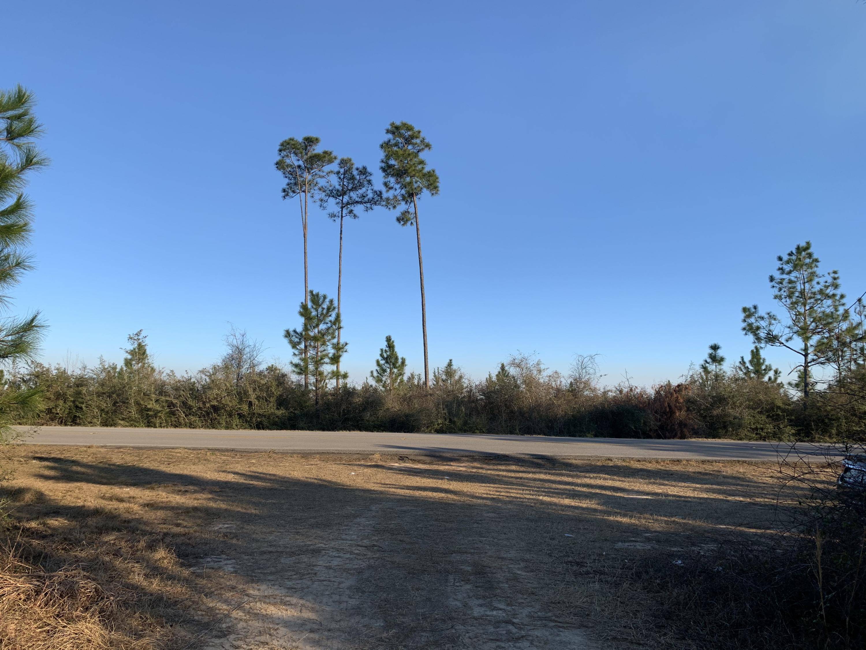 Milton, FL 32570,7+/- AC Peaden Hill Road  #Parcel J-East