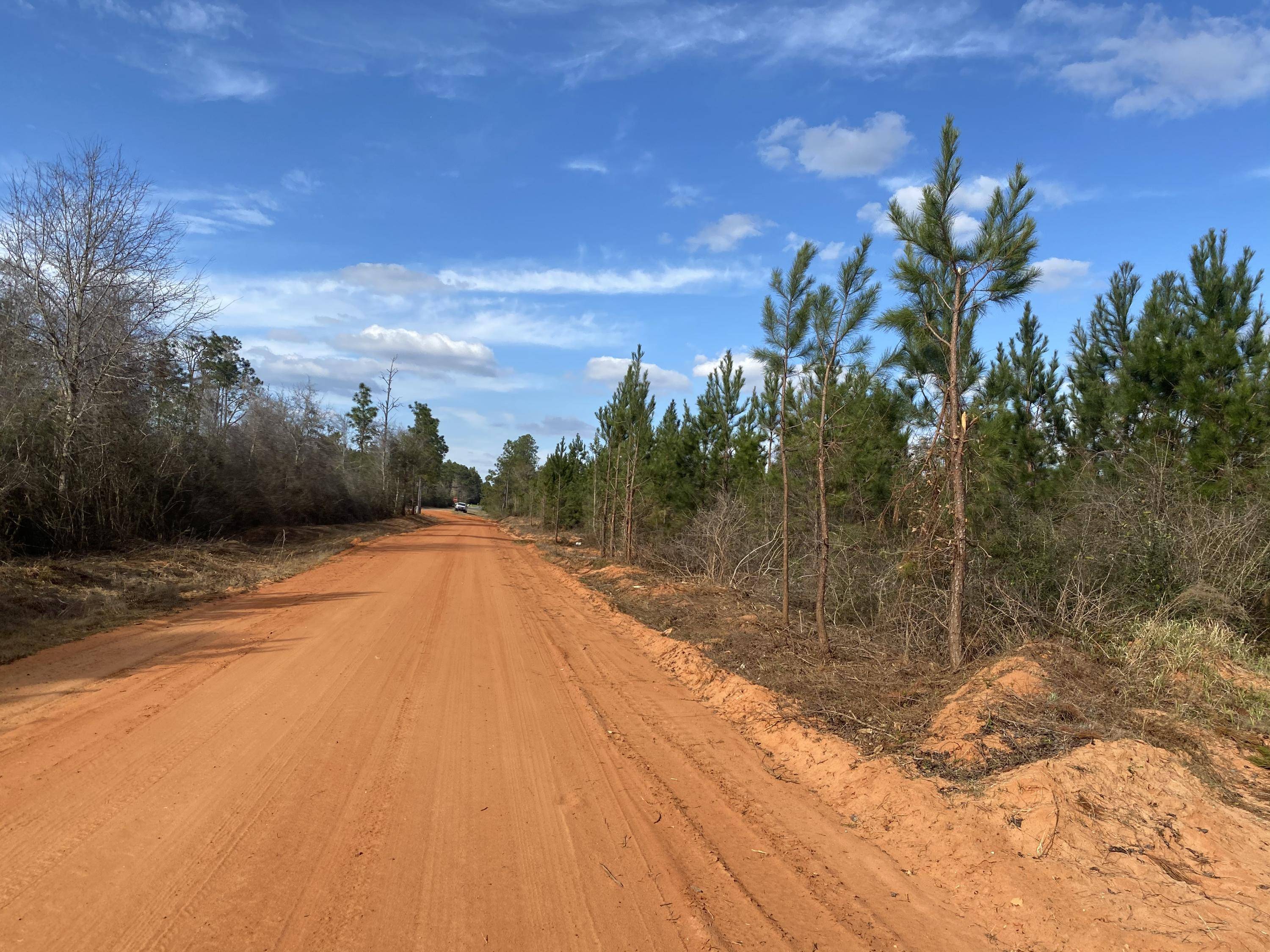 Milton, FL 32570,7+/- AC Peaden Hill Road  #Parcel J-East