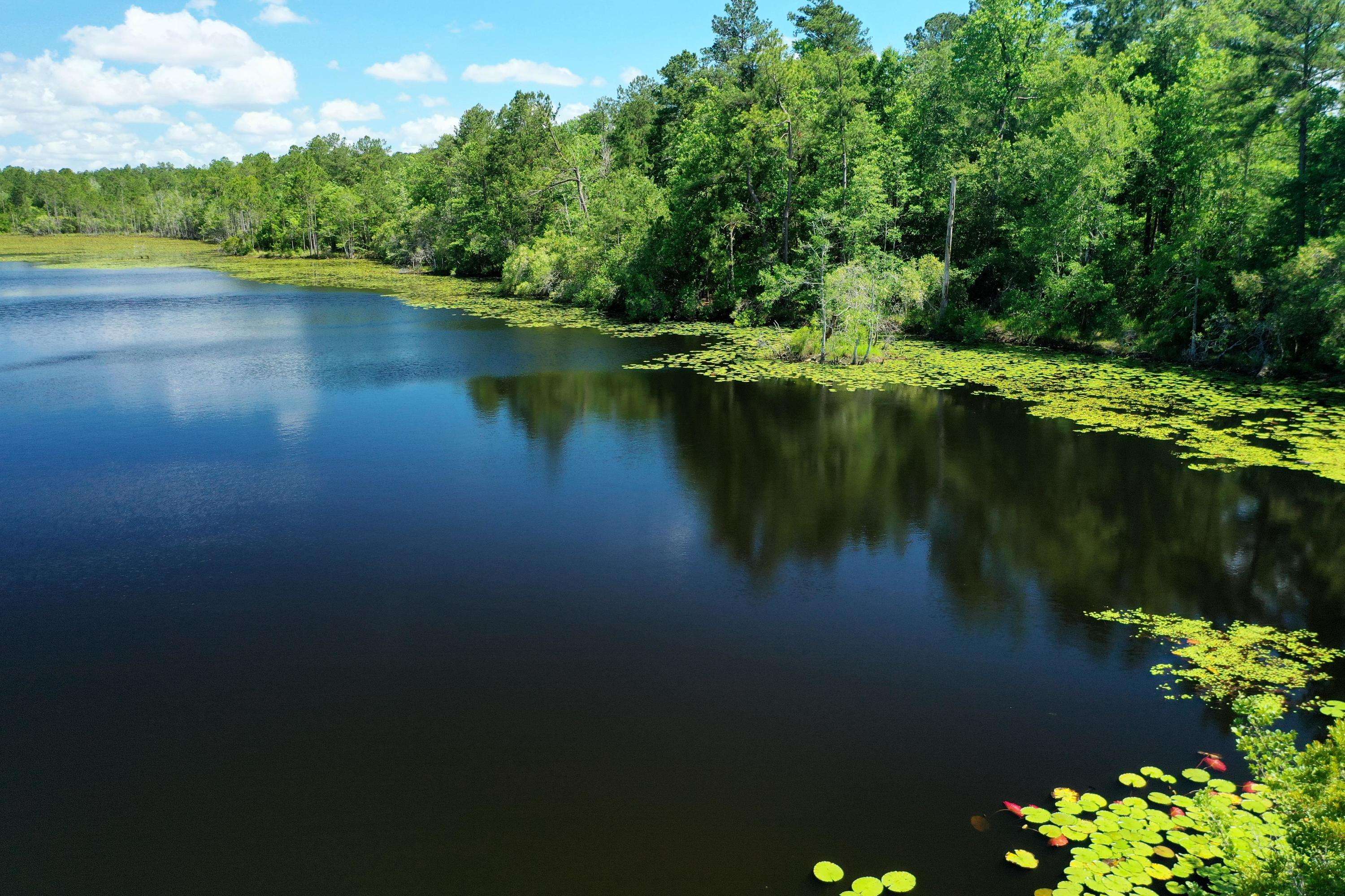 Defuniak Springs, FL 32435,377 Acres E Co Highway 280