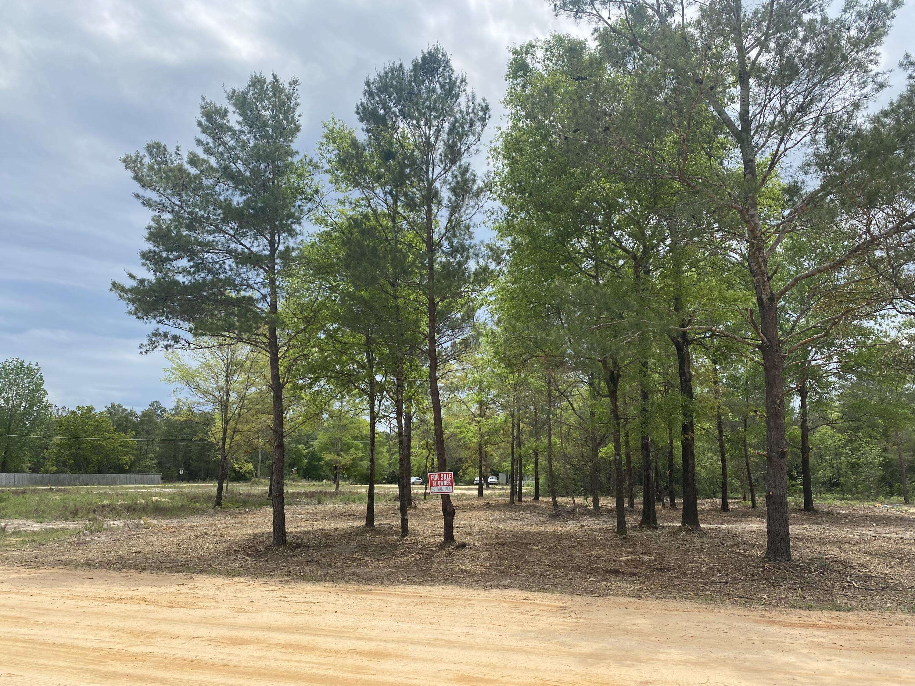 Defuniak Springs, FL 32433,TBD Shorey Drive