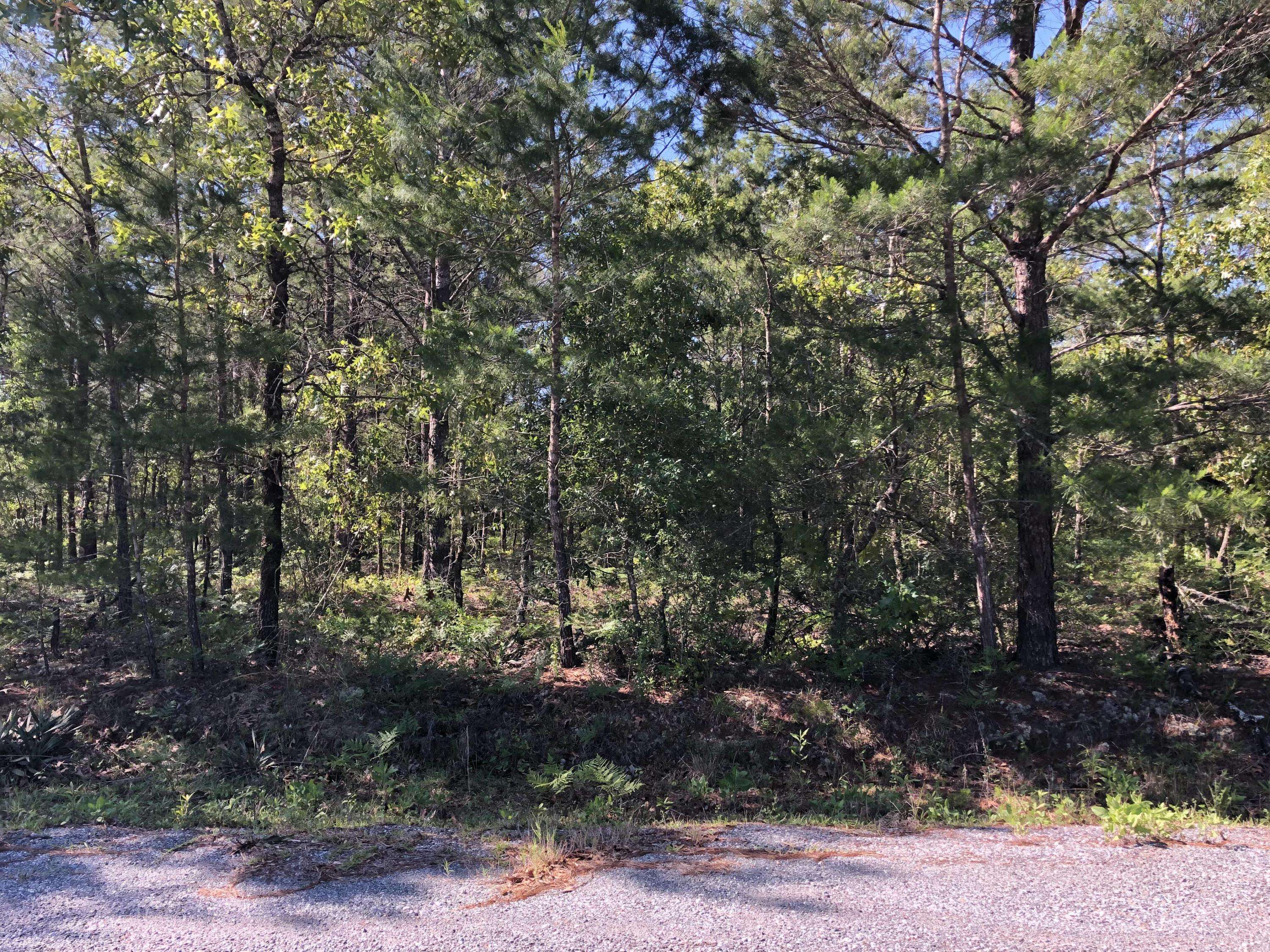 Defuniak Springs, FL 32433,TBD Iris Lane E