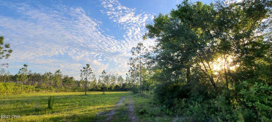 Youngstown, FL 32466,11302 W Linger Longer Road