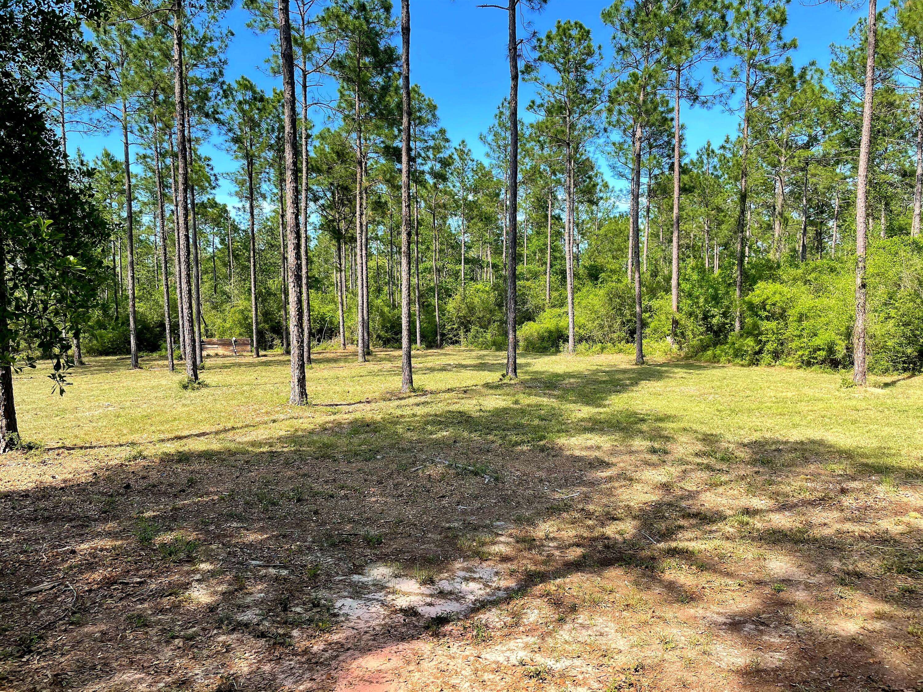 Laurel Hill, FL 32567,12.5 Ac xx E Chapel Road