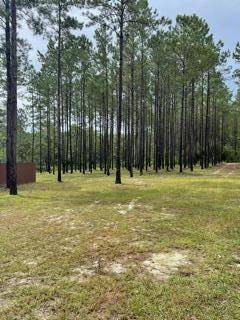 Laurel Hill, FL 32567,E-6 S Planters South Drive