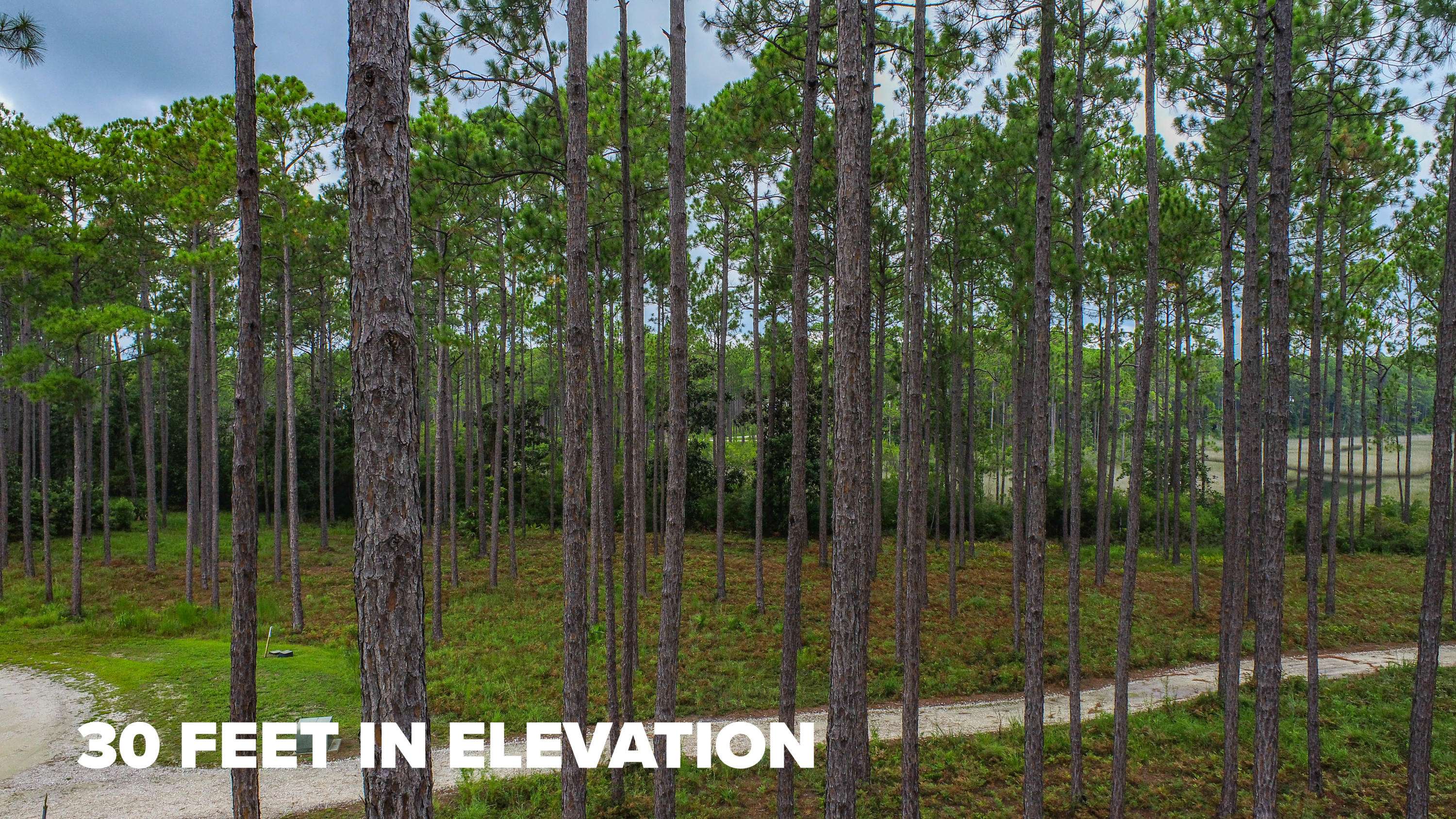 Panama City Beach, FL 32413,6401 E Sundew Marsh Trail  #Lot 75