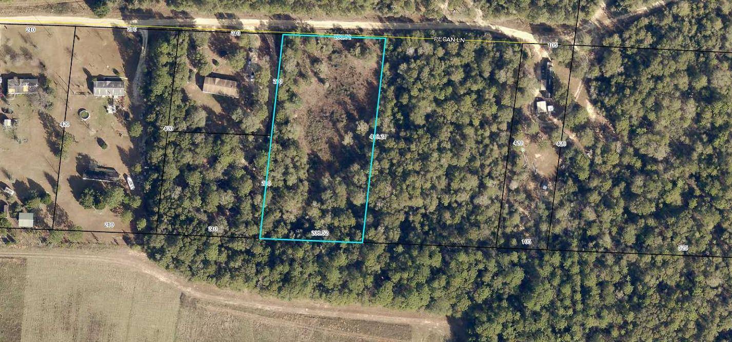 Holt, FL 32564,TBD Pecan Lane