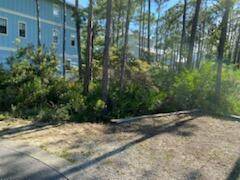 Inlet Beach, FL 32461,44 Sweetgum Loop