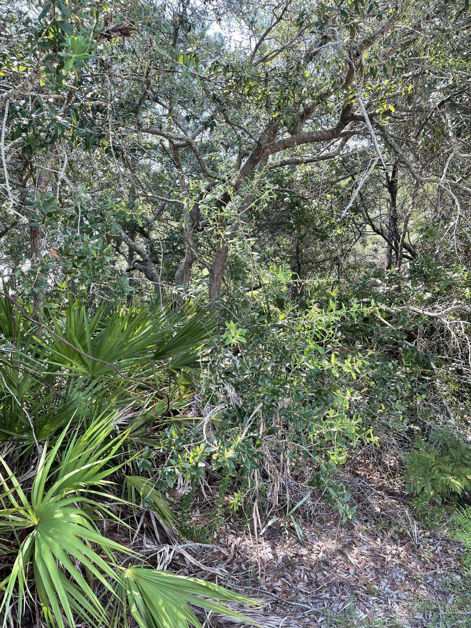 Santa Rosa Beach, FL 32459,Lot 11 Lakewood Drive