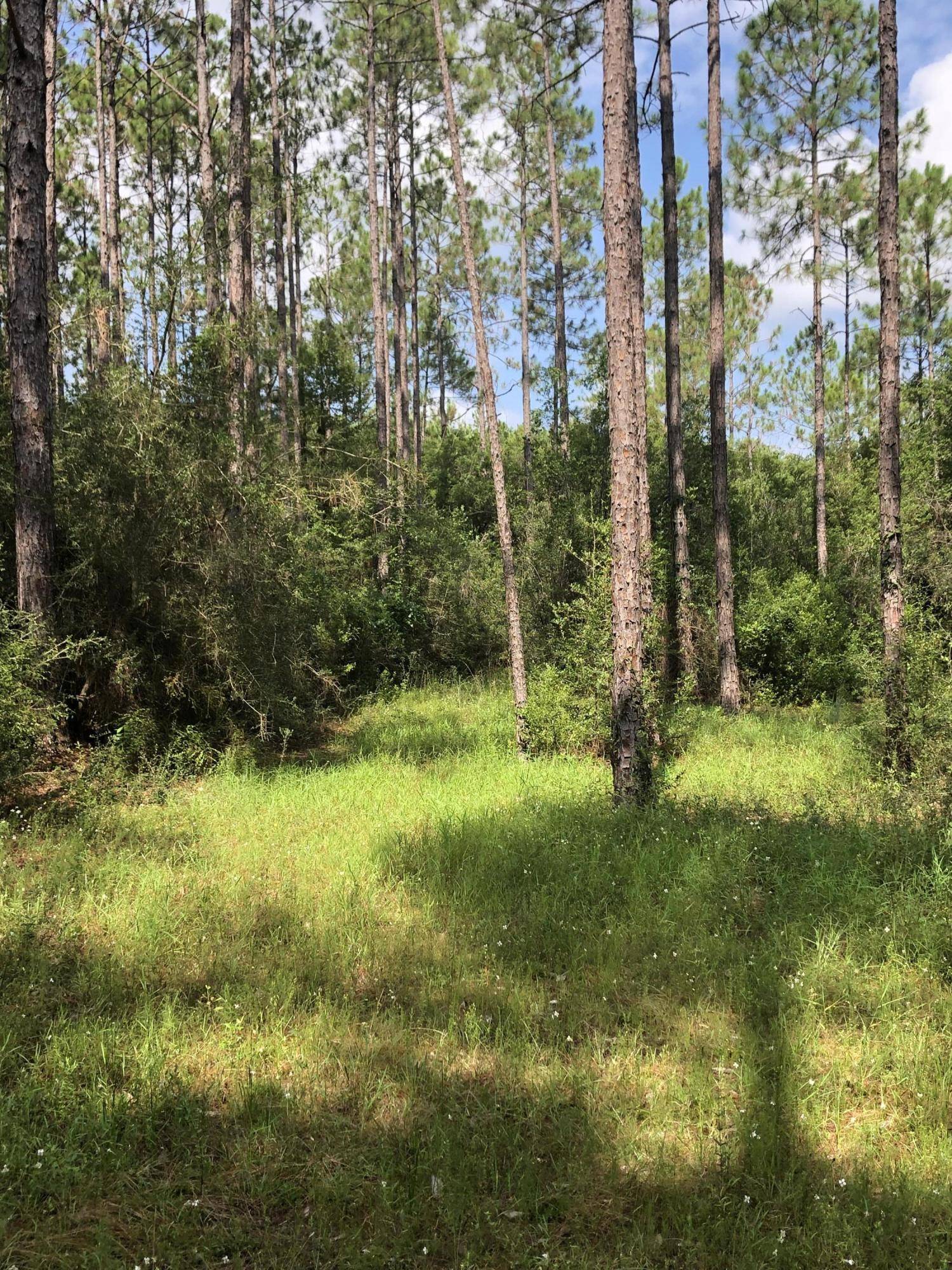 Laurel Hill, FL 32567,0 Planters South Drive