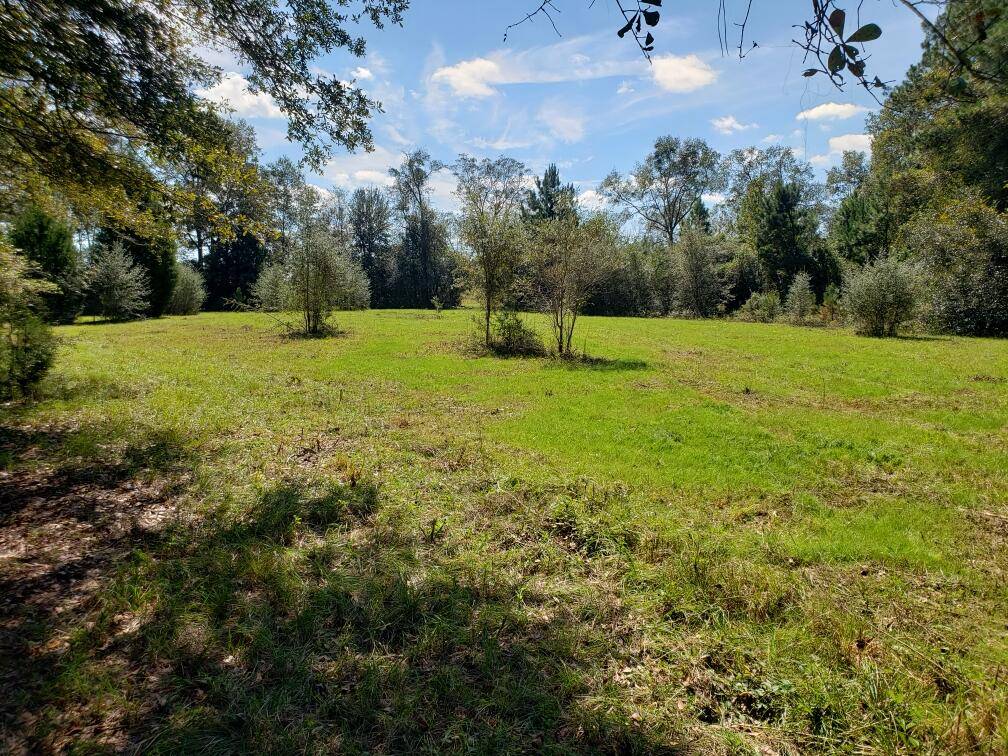 Defuniak Springs, FL 32433,1890 Mathews - 39.62 Acres Road