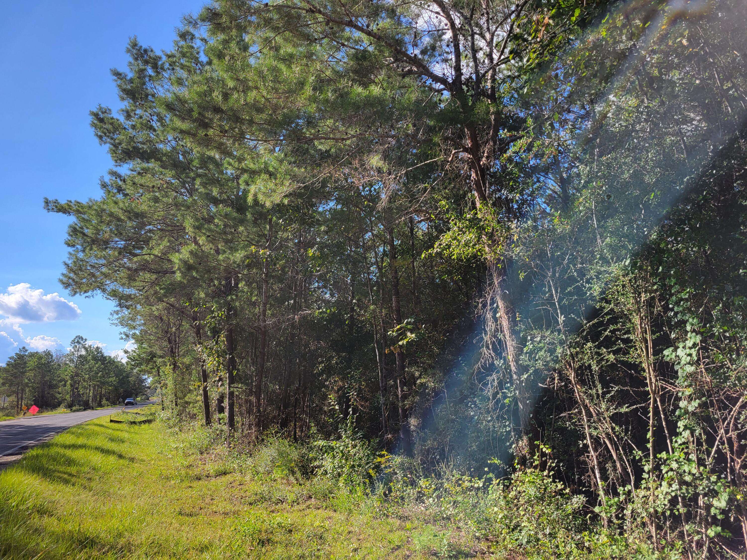 Defuniak Springs, FL 32433,15.7 acres Douglass Crossroad