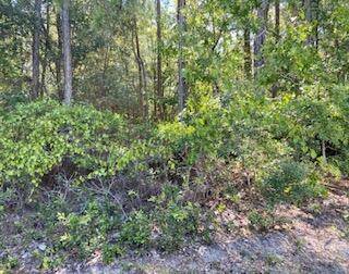 Freeport, FL 32439,1.06 acres Stanley Drive