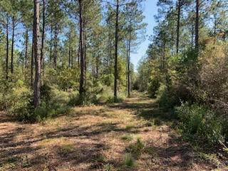 Laurel Hill, FL 32567,Lot #15 Little Yaupon Way