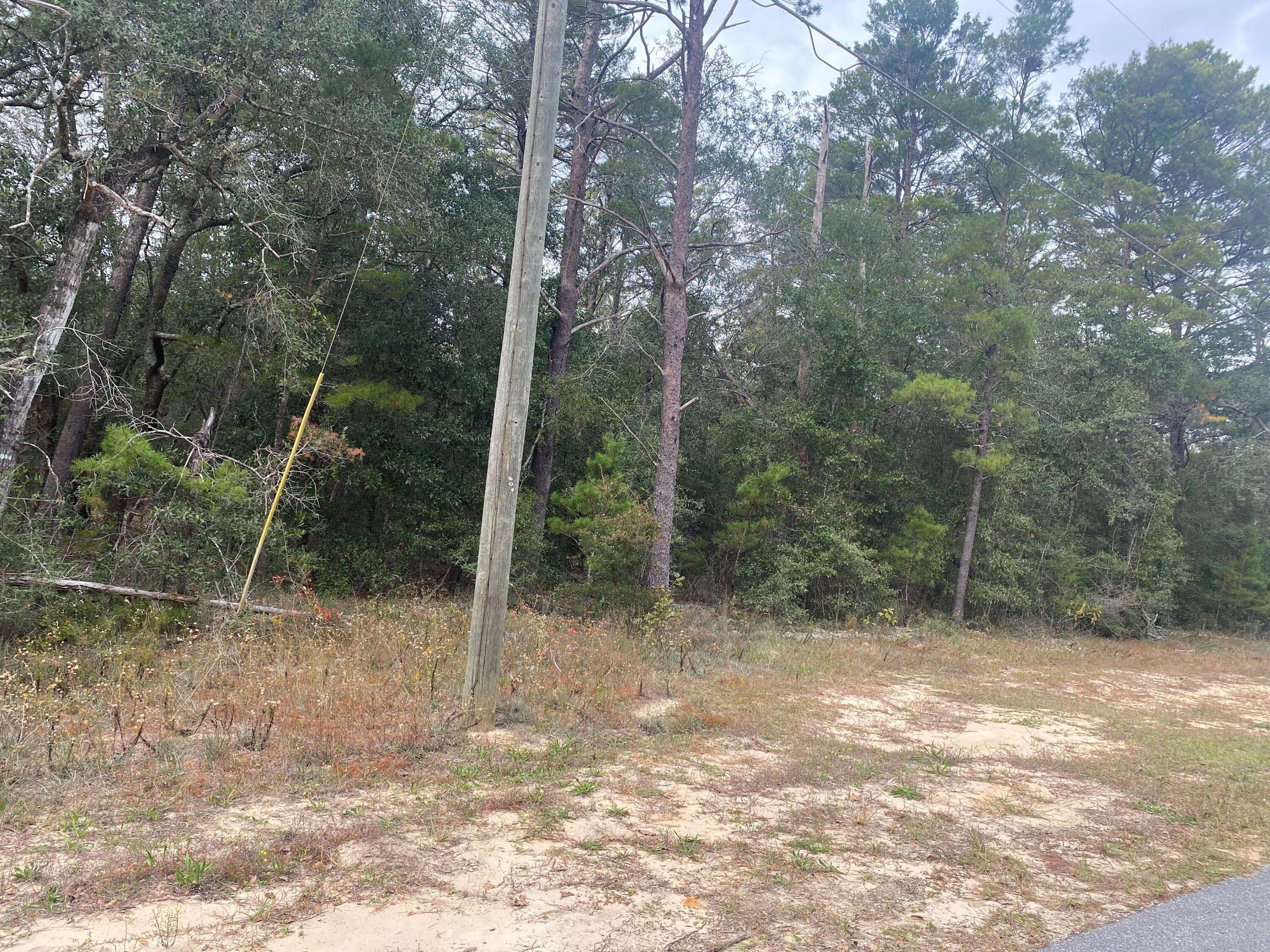 Defuniak Springs, FL 32433,311 E Roberts Road