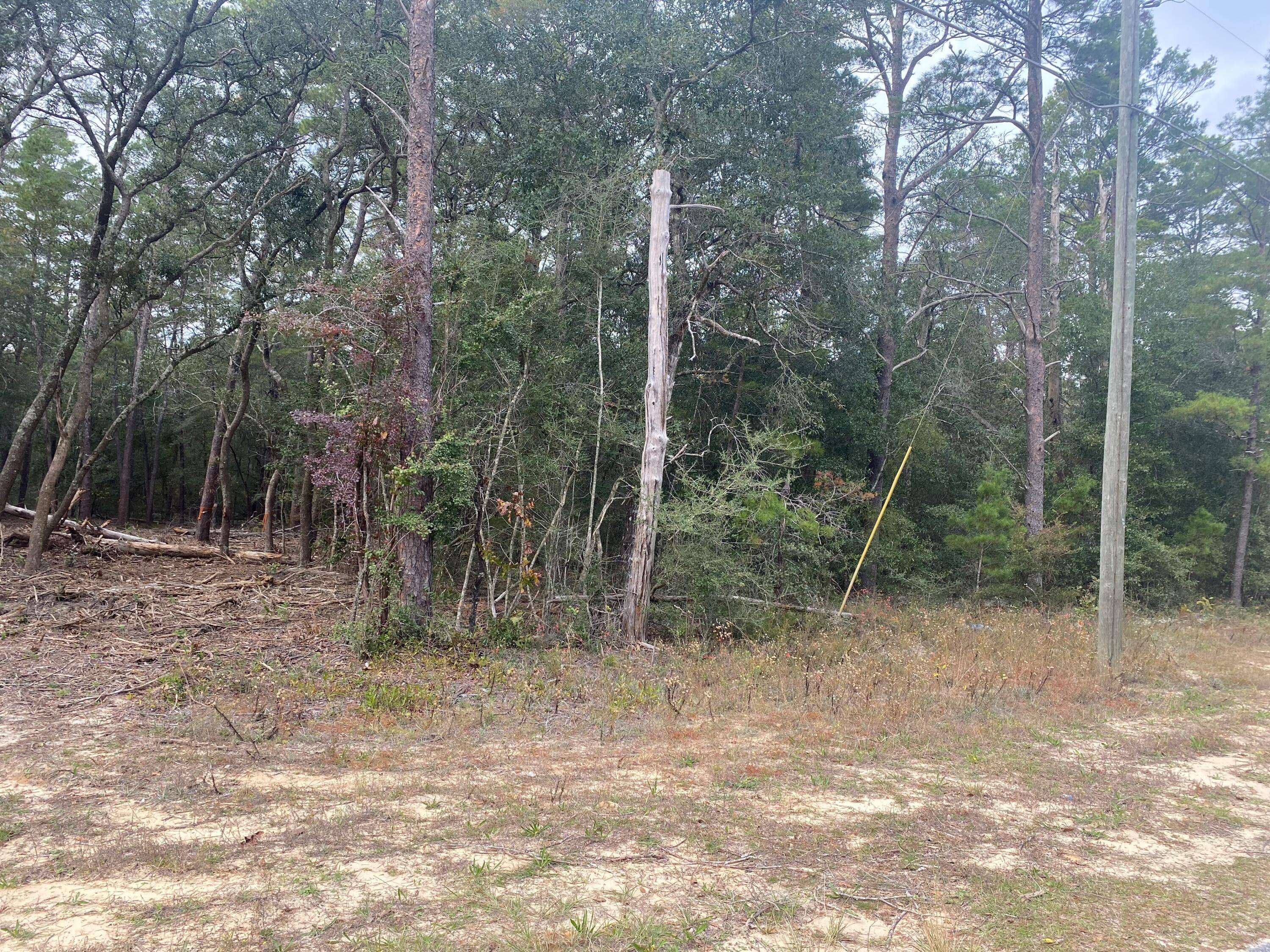 Defuniak Springs, FL 32433,311 E Roberts Road