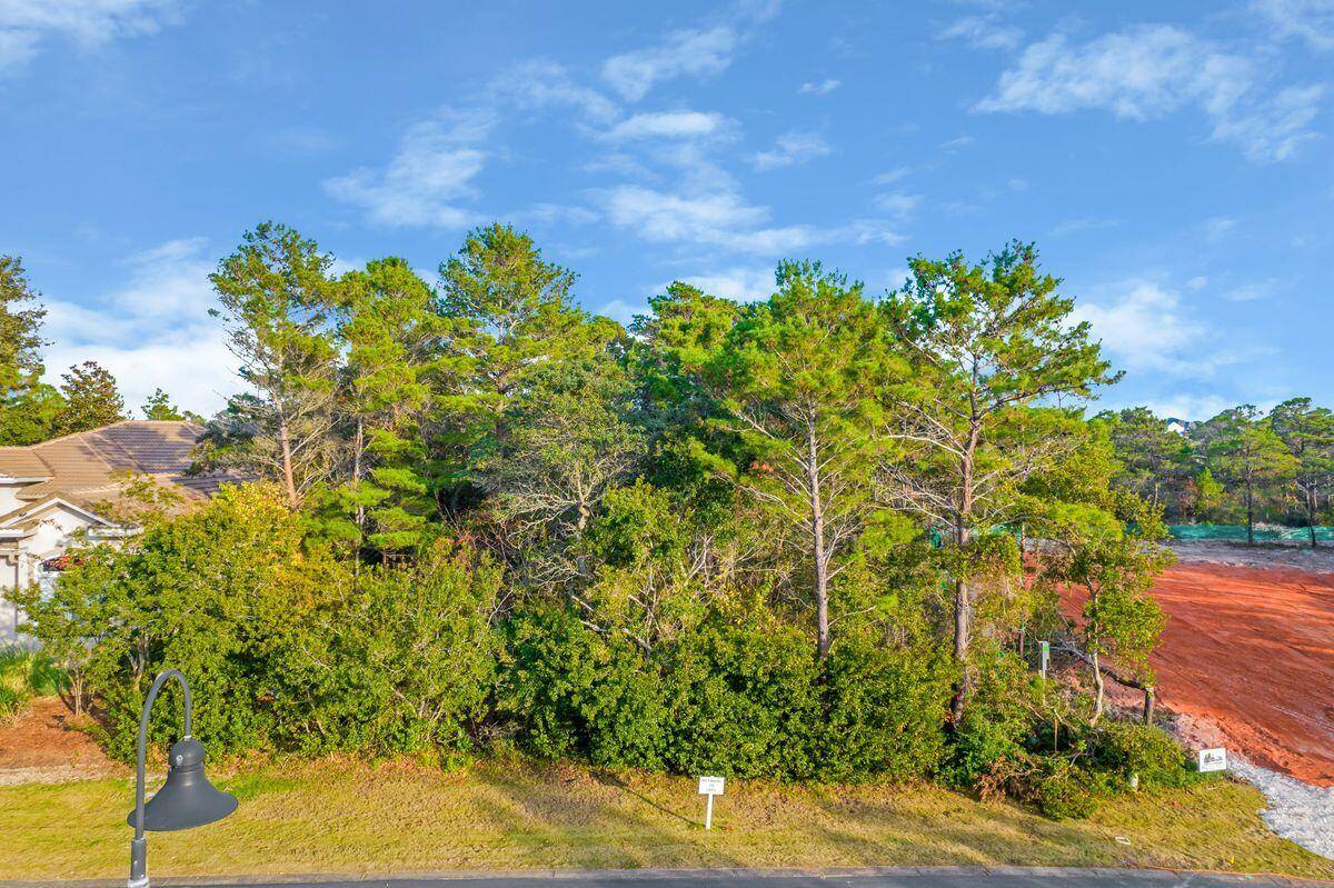 Santa Rosa Beach, FL 32459,487 Sea Winds Drive