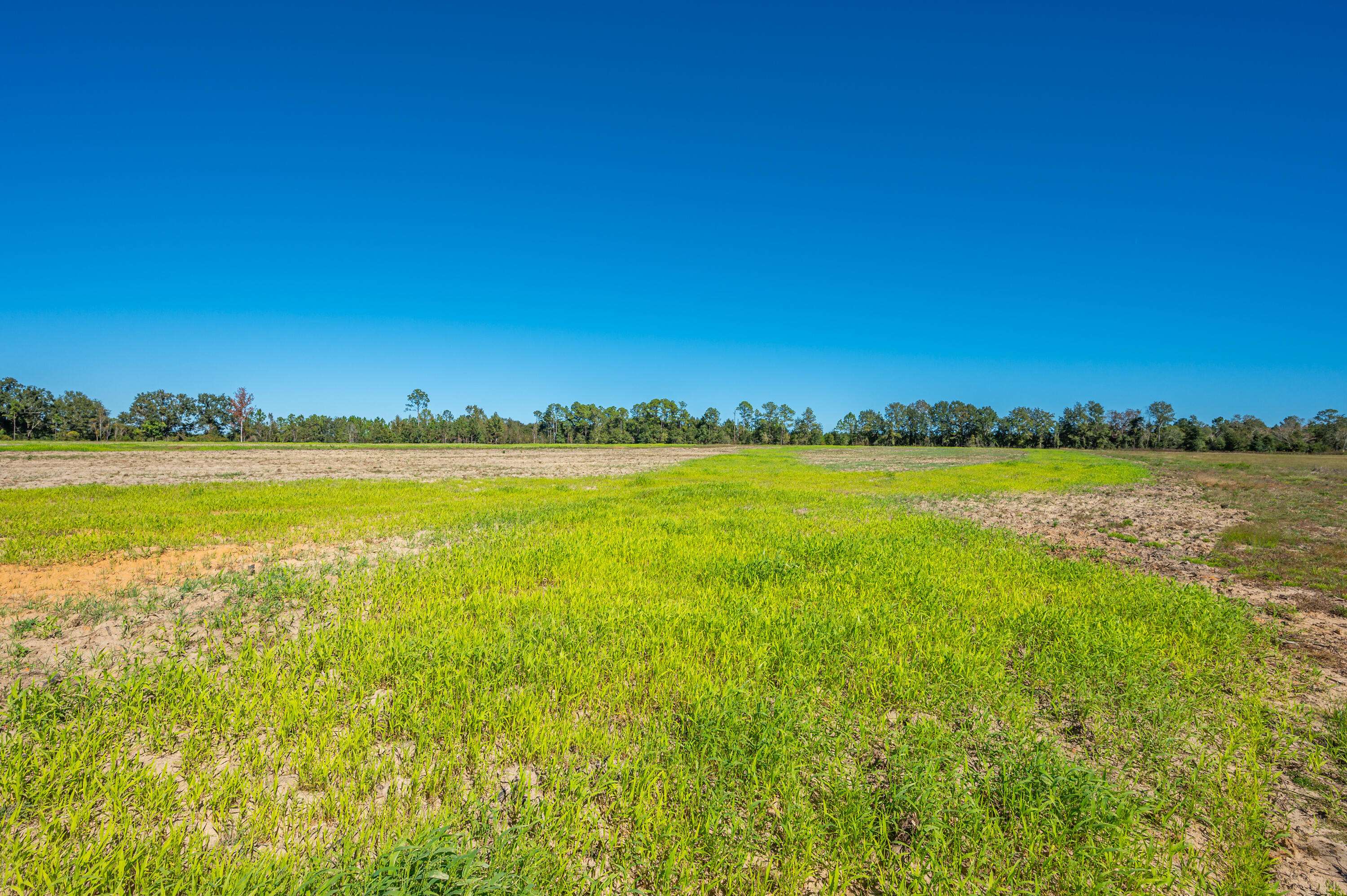 Laurel Hill, FL 32567,20 Acres Flowersview Boulevard