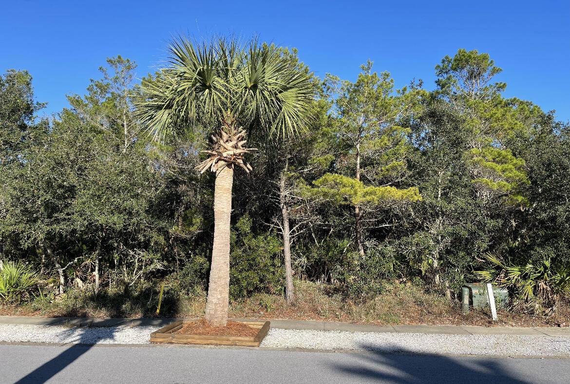 Panama City Beach, FL 32413,430 Lakefront Drive