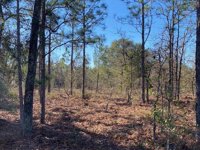 Defuniak Springs, FL 32433,4 acres Patch Road