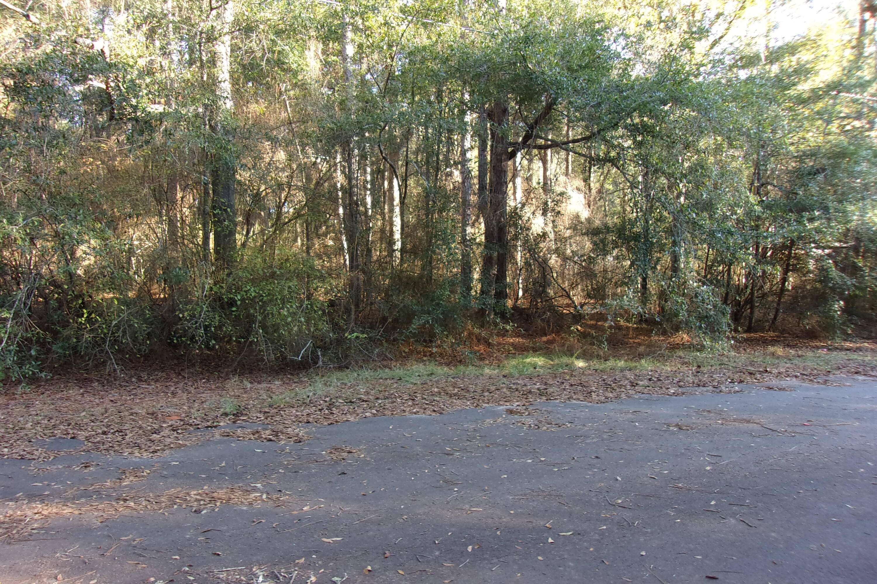 Crestview, FL 32539,Lot 1 Oaklane Street